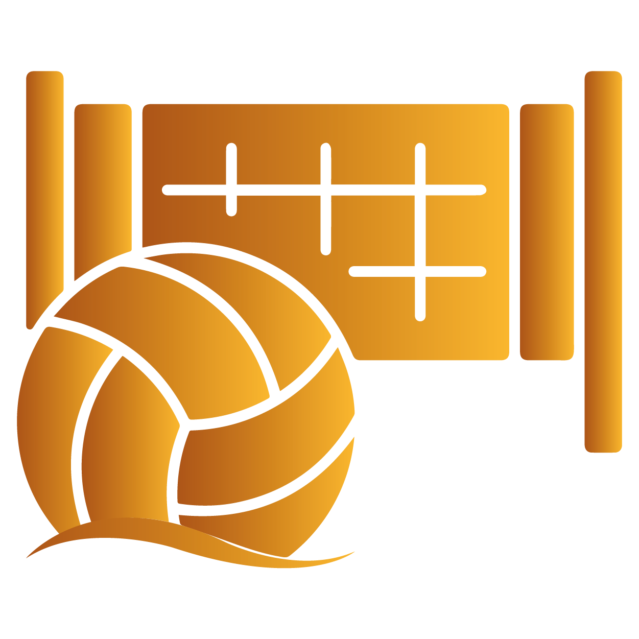 Beach VolleyBall